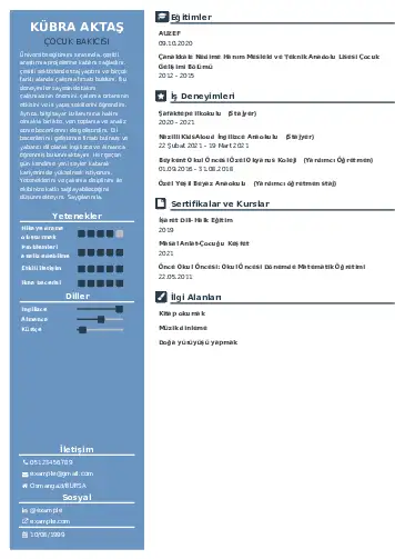 Çocuk Bakıcısı CV Örnekleri cv indir